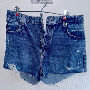 NWT • Wild Fable Button Fly High Rise Shorts